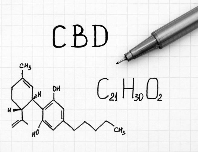How Does CBD Oil Work? Cannabinoids, including CBD oil, work naturally with our system, thanks to the fact that all mammals have cannabinoid receptors located throughout the body.