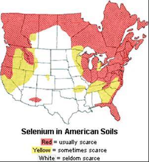 Since our soils do not contain selenium, the only way to ensure adequate selenium intake is to provide horses with a complete feed and/or a supplement.
