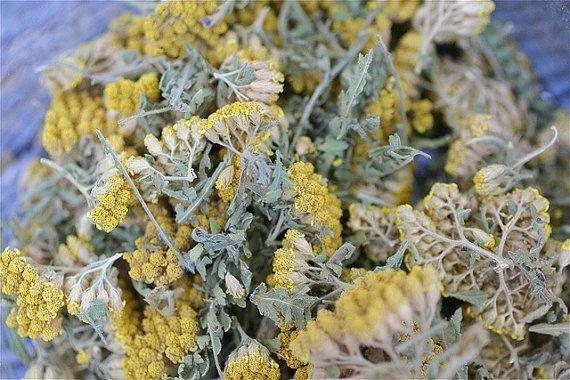 deep cuts and wounds almost immediately. This, combined with yarrow s antiinflammatory and antimicrobial properties, makes it a perfect first aid remedy.