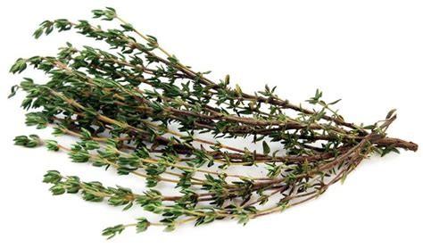 Thyme (Thymus Vulgaris) -A member of the mint family, thyme is an herb originating from the Mediterranean basin. It is anti-septic, anti-viral, anti-rheumatic, anti-parasitic and anti-fungal.