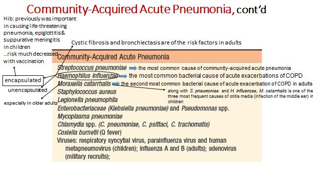Streptococcus pneumonia ( pneumococcus) Unencapsulated Haemophilus Influenza : more common and less severe. C.psittaci : الببغاوات.