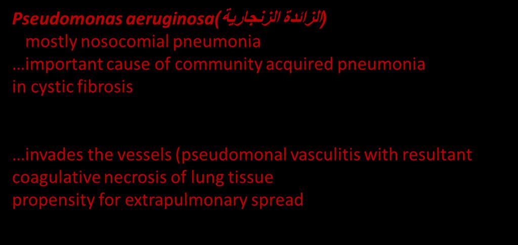 Pseudomonas aeruginosa: after spreading it will cause : meningitis, endocarditis and