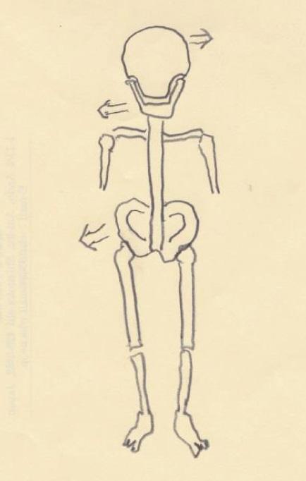 causing nystagmus, which gives the patient an illusion of rotation that results in vertigo. Figure 40 (Coxalgia and lumbaigo): Maintaining body posture.