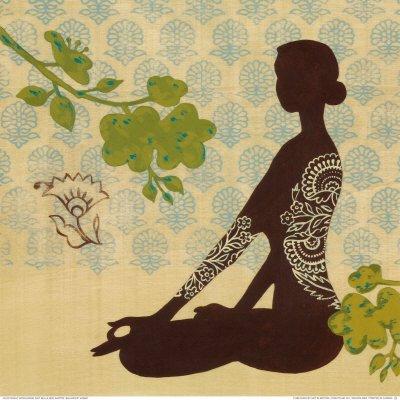 PRACTICE COMPONENTS Mindfulness Meditation Body Scan Hatha Yoga