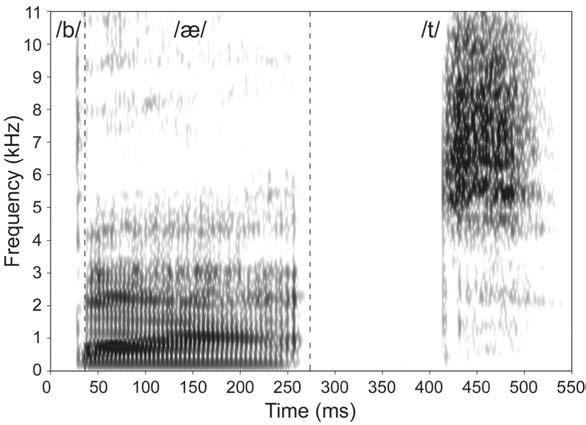Articulators and Vocal Tract Shape 383 FIGURE 7.1. A speech spectrograph of the word bat showing frequency versus time with the intensity of the sound increasing from light to dark.