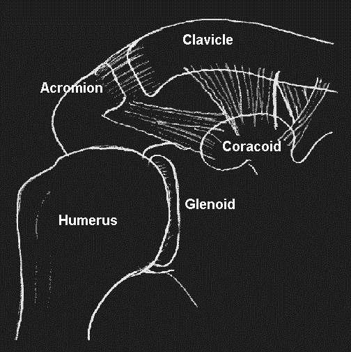 Osseous Acromial Outlet A-C
