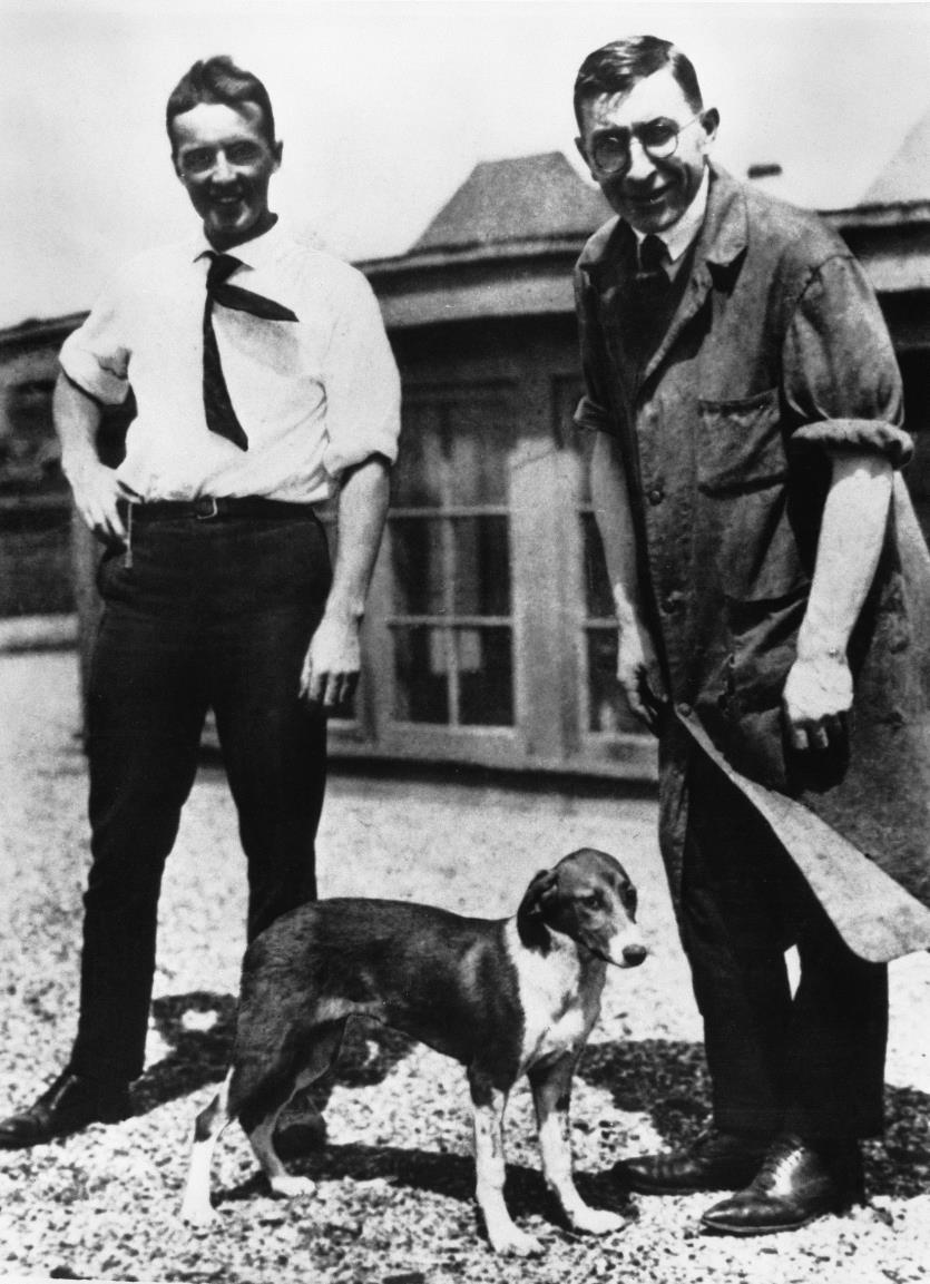 The Discovery of Insulin - 1921 - Banting & Best University Of Toronto Discovered hormone insulin in pancreatic extract of dog - Marjorie the dog was injected with chilled