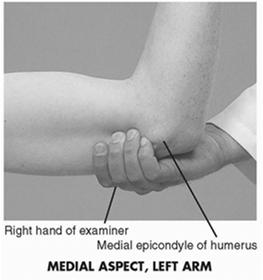 Examination of the Arms Inspect both arms fingertips to shoulders Size, symmetry, swelling Venous pattern Color of skin/nail beds; texture of skin Palpate Radial, brachial, & ulnar pulses Slide 40