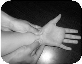 Arterial Supply to the Hand Allen test (cont) PT open slightly flexed hand, should be pale Don t fully extend hand Slide 46 Arterial Supply to the