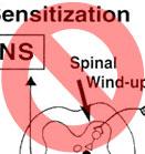 receptor antagonism Interferes with pain transmission in the spinal cord Results in analgesia Prevents