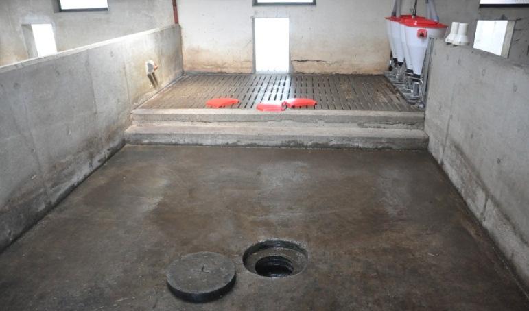 ) Semi-open stables may increase development and survival of eggs Stimulate pigs to defaecate on slatted floor areas Bedding material increases