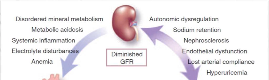 Introduction Chronic kidney disease