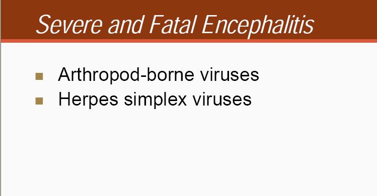 Other viruses: chickenpox measles mumps Epstein-Barr virus (EBV)
