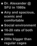 Alexander @ SFU in 1980s Airy and