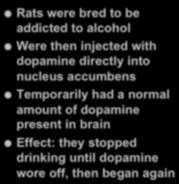 Increase by 50% Sex Dopamine Increase by 100% Dopamine Receptors