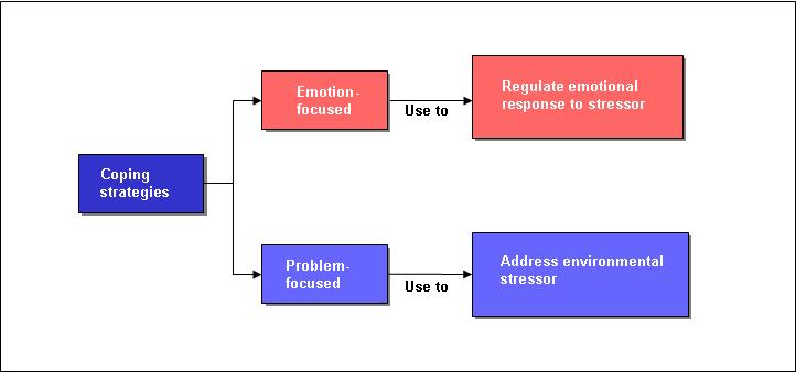 Two main forms of coping will be used when a situation is appraised as stressful, namely, emotion-focused and problem-focused coping (Folkman, 1997). Figure 2.