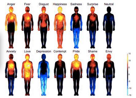 Emotions in the body
