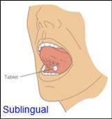 Buccal or sublingual (SL) Rapid
