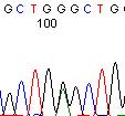 Allelic frequency(%) 58% 76% 80% 82% Clonal architecture Single cell colony sequencing WT PIGA N=3 PIGA c11orf34 RBP3 MUC7 N=2 Deep sequencing of PNH sorted cells c11orf34 PIGA N=2 c11orf34