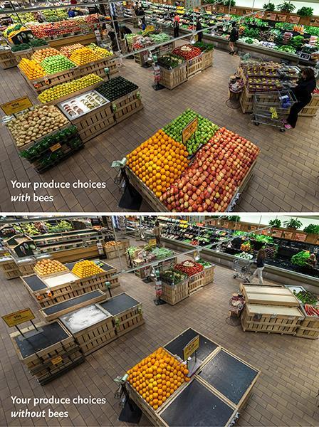 Framing of Food Choices - Pollination About