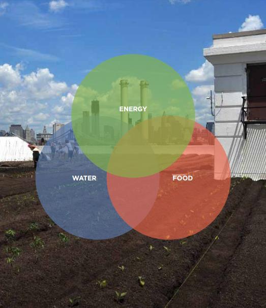 Framing of Food Choices - Nexus Agriculture is currently the largest user of water at the global level, accounting for