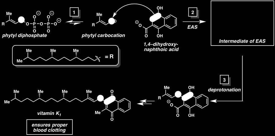 fired. biosynthesis of diazepam 15.
