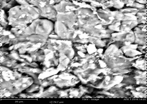 Scanning Electron Microscope The scanning electron microscope (SEM) image at the magnification of 20,000X showing the sample s surface topography is displayed in Figure 4.