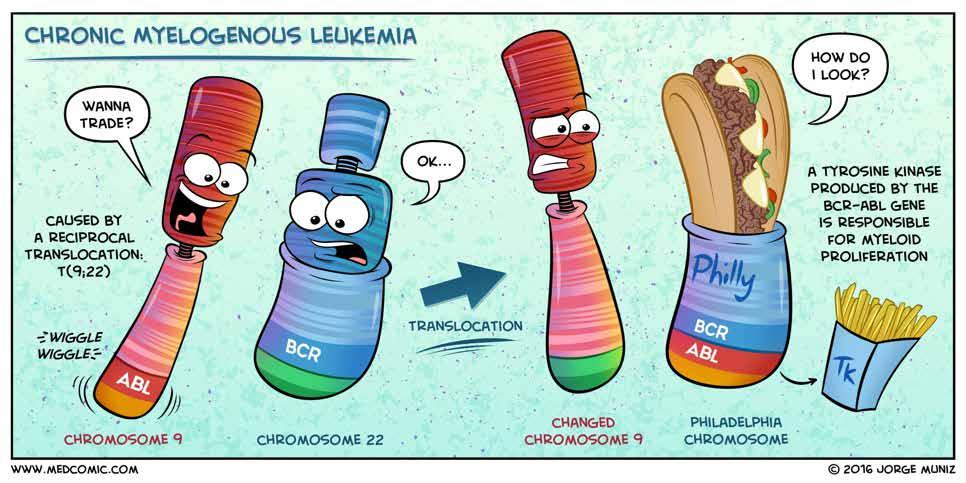 Chronic myeloid leukemia (CML) 1 Warunsuda