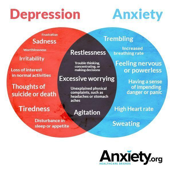 Common Anxiety Disorders Panic Disorder Recurring anxiety attacks Social Phobia Fear of public rejection/humiliation Obsessive Compulsive Disorder Recurrent thoughts that result in ritual routines to