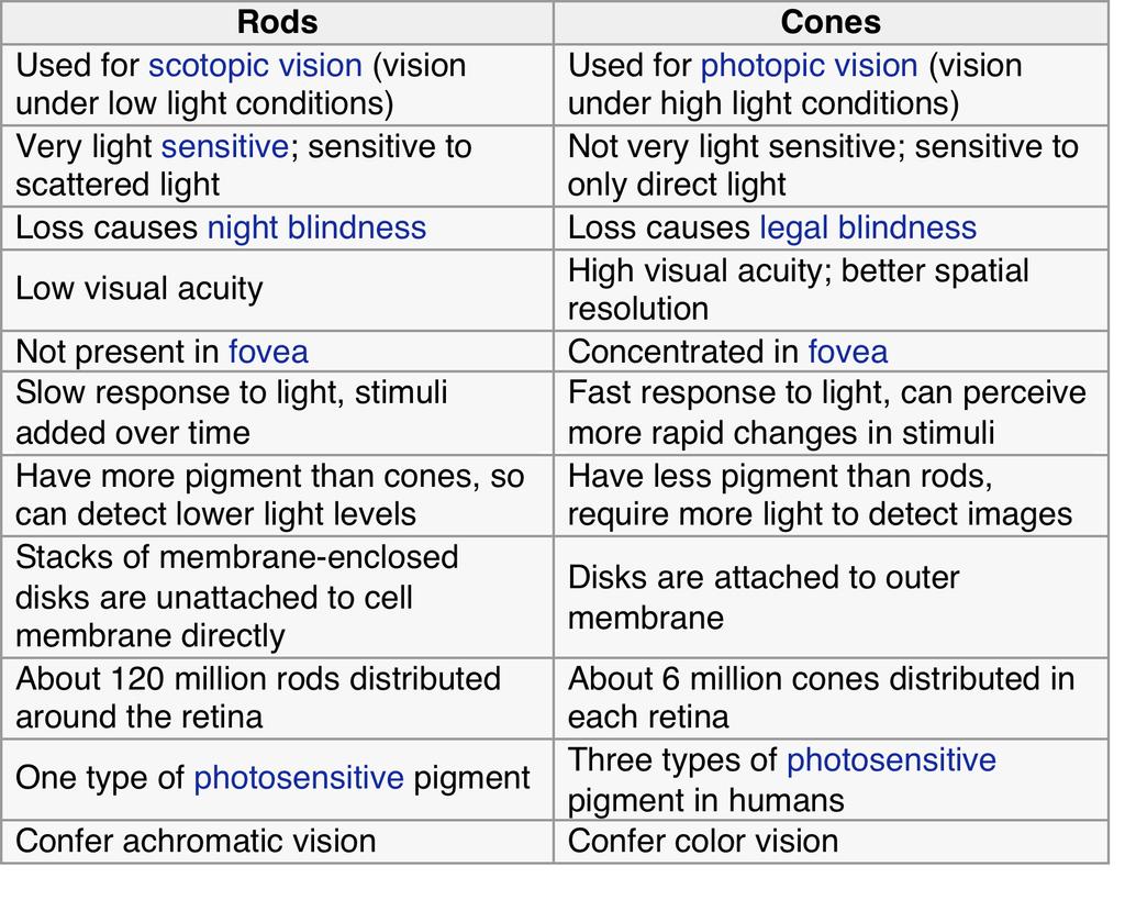 Comparison of human rod and cone cells, from