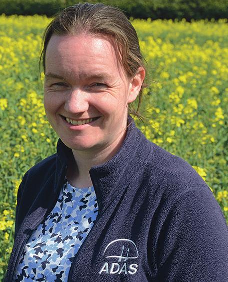 Using fungicides effectively in wheat and barley Stuart Knight, Director of Crops and Agronomy, NIAB Stuart joined NIAB in 9 when The Arable Group became part of NIAB, having worked for TAG (and
