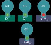 Slide 18 Aripiprazole Binding Profile - Partial D2/D3 agonist (pre and postsynaptic receptors) - 5HT2A antagonist - 5HT1A partial agonist - Modest affinity for H1, M1 and a 1 receptors Slide 19