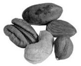 Eat about 1 ounce of nuts most days 1 ounce of nuts=1/4 cup or a small handful But be aware of the calories 1 ounce=160-200 calories Vegetarian Diets Vegans Fruitarians Lacto-vegetarians Lacto-ovo
