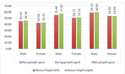 1 Comparison of corpus length according to gender Note:Before growth spurt (male) = 6-13 years old; Before growth spurt (female) = 6-11 years old; During growth spurt (male) = 14-16 years old; During