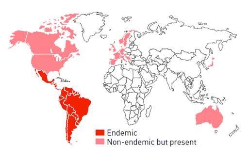 Worldwide prevalence of Chagas U.S.