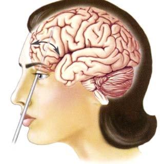 The Frontal Lobotomy To medically treat severe behavioral disorders, clinicians have attempted frontal lobotomy.