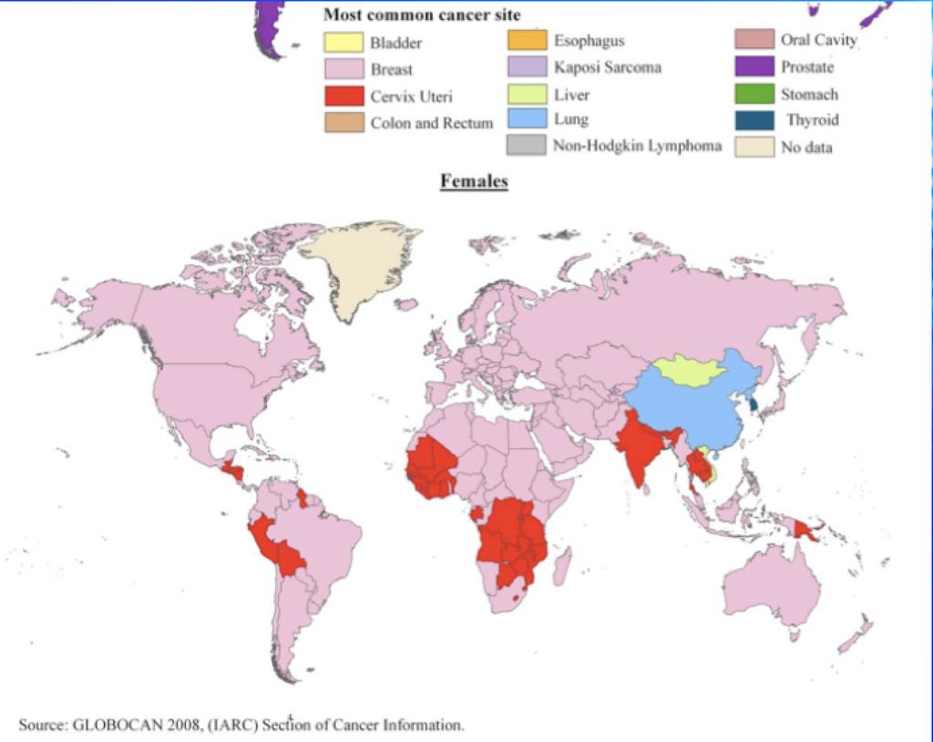 countries where people smoke less (USA, Westerm