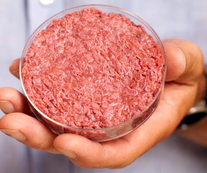 Lab grown proteins Cultured meat, cell-cultured meat or clean meat Animal product produced following cell isolation and identification, cell culture and tissue engineering + Foodborne illness
