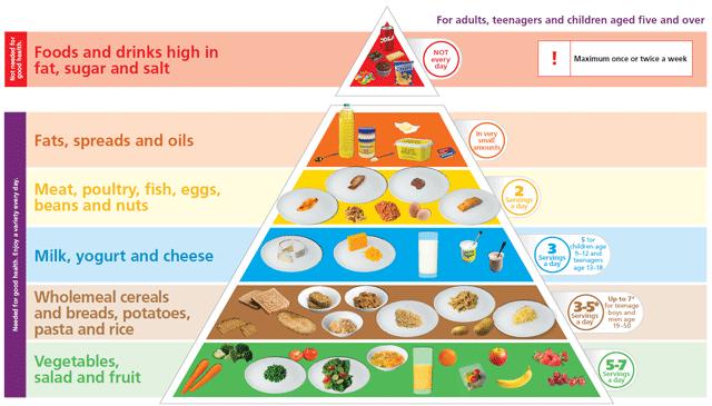 Overview The Food Pyramid The food pyramid is designed to make healthy eating easier.
