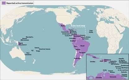 Zika Virus Virus in the French Polynesia outbreak has been phylogenetically linked to the virus that emerged in Brazil in May 2015 first local transmission of Zika virus in the Americas 440,000 to 1.
