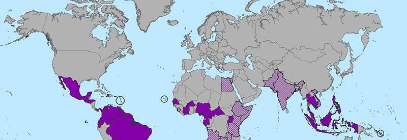 Current Active Zika transmission WHO declared global health threat of