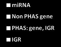 Distinct Leaf-PCt1 Small RNA length (nt) Small RNA