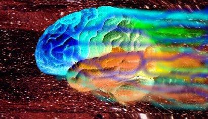 The brain About 3 pounds, 100 billion