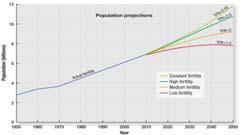 The younger and larger a population, the higher the TFR and the higher growth potential