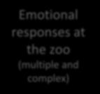 motivations for visit Emotional responses at the zoo (multiple and complex) Animal related factors non-human charisma