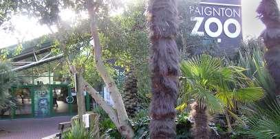 Methodology: Go-along interviews at the zoo Credit: Paignton Zoo Go-alongs intentionally aim at capturing the