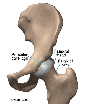 Insufficiency fractures are breaks in abnormal bone under normal force. Fatigue fractures are breaks in normal bone that has been put under extreme force.