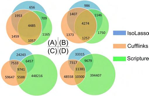 Isoform Reconstruction - Real data Figure: The number of known isoforms of mouse (A) and human (B), and