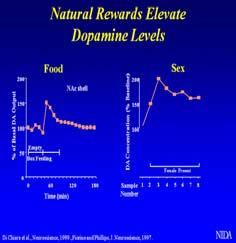 Magnitude of Dopamine release determines the degree of