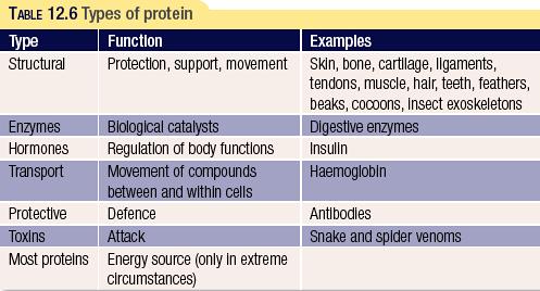 Proteins There are thousands of different types of proteins, each with its own specific purpose. Amino acids Proteins are polymers built up from small monomer molecules called amino acids.